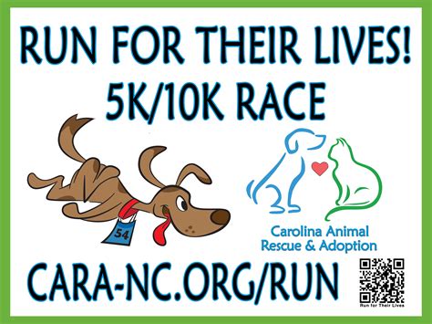 Image result for Cara Run Java