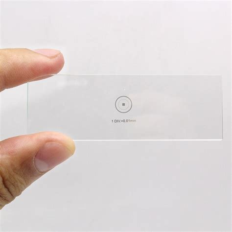 Image result for Microscope Slide with Grid