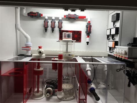 Image result for Reef Tank Sump Plumbing