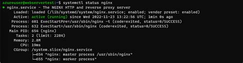 Image result for Nginx Sample