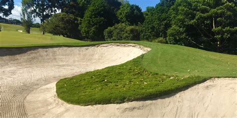 Turfing On a Golf Course に対する画像結果