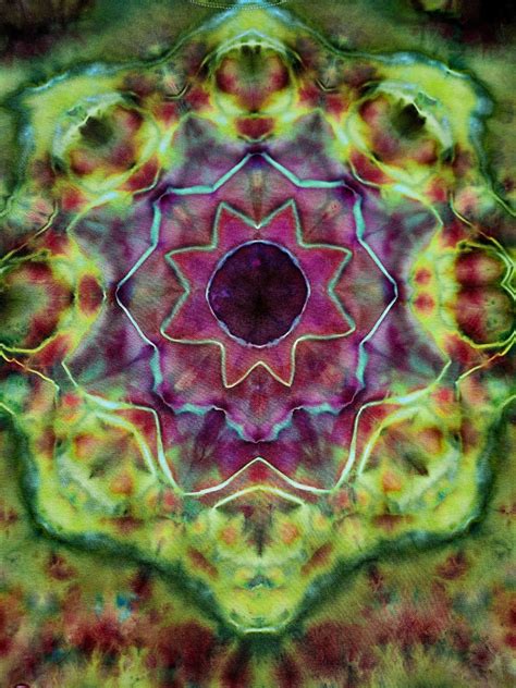 Cache Valley Polygomist Compound に対する画像結果