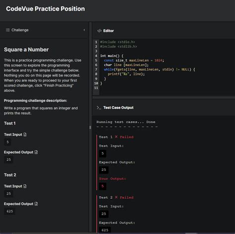 Toradh íomhá ar Codevue Coding Challenge