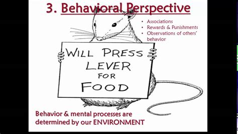 Image result for Behavioral Approach Examples