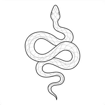Toradh íomhá ar Python Snake Outline