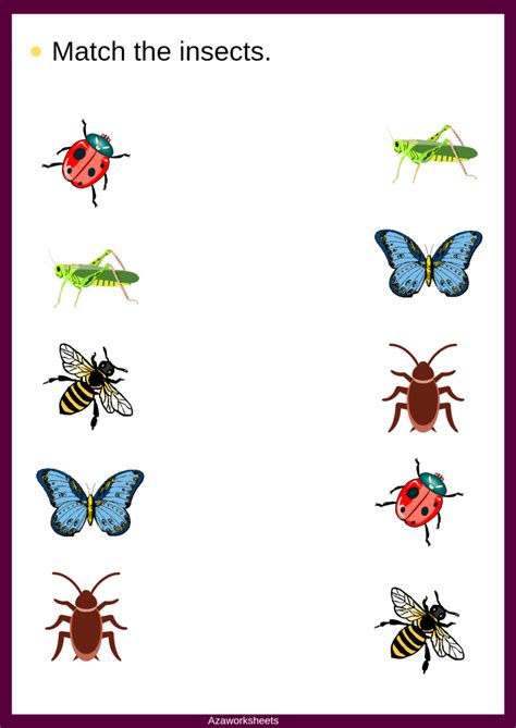 Toradh íomhá ar Insect Matching Worksheet