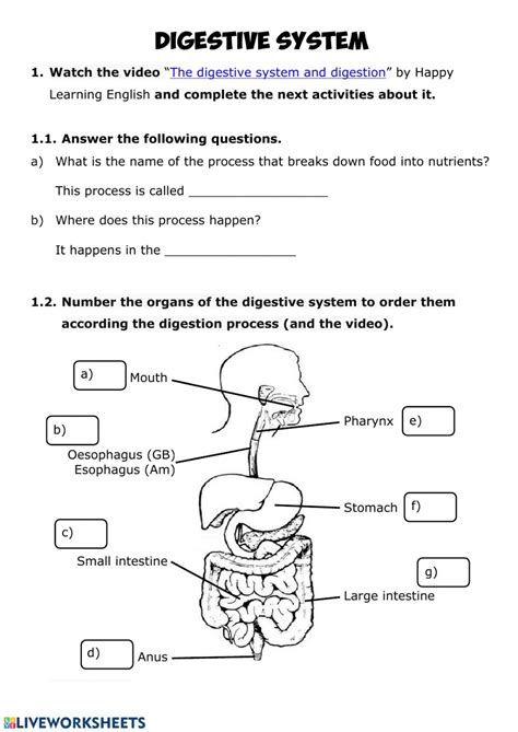 Toradh íomhá ar Life Process Worksheet Digestive System