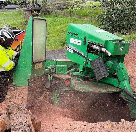 Toradh íomhá ar DJ Tree Service