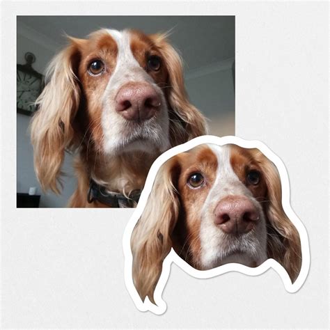 Image result for Facebook Dog Sticker