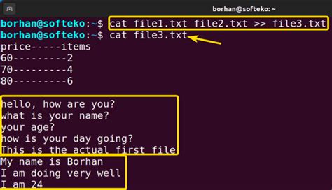 Toradh íomhá ar Linux Cat Command Text
