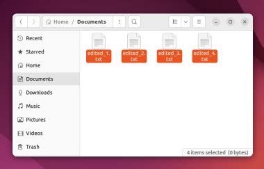 Image result for Rename Multiple Files in Unix