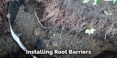 Toradh íomhá ar How to Install Root Barrier