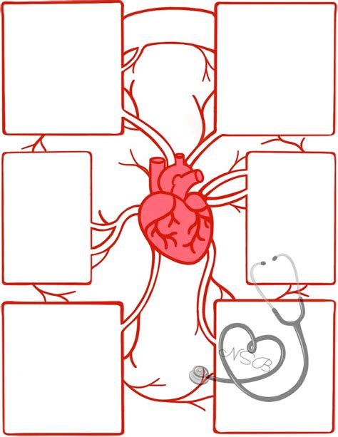 Mapping Method Note Taking for Cardiovascular System に対する画像結果