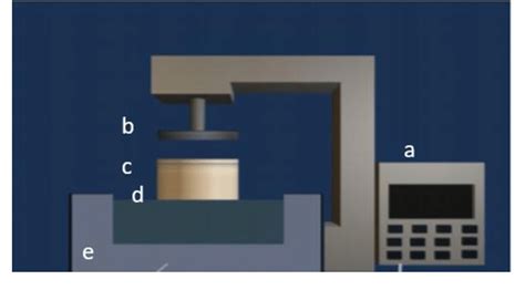 Image result for Cyclic Machine for Spring