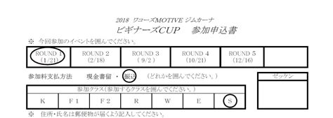 Front Entry Sample に対する画像結果