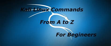Kali Linux Command List માટે ઇમેજ પરિણામ