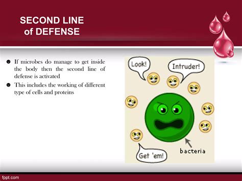 Image result for Innate Immune System Project