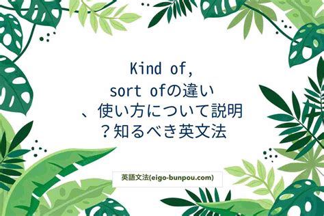 Image result for Significado De Sort Of