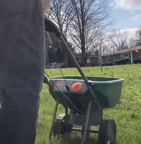 Toradh íomhá ar How To Overseed Lawn