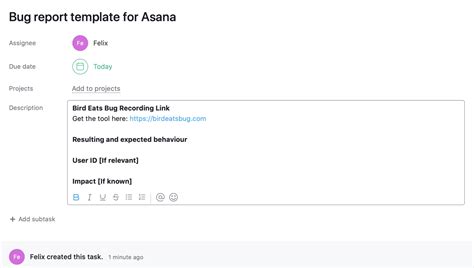 Image result for Bug Report Example