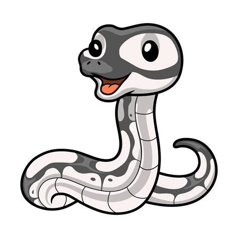 Image result for White Ball Python Cartoon