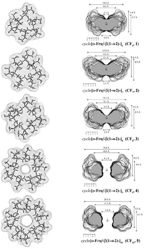 Image result for Ball and Stick Model for Cellular Respiration