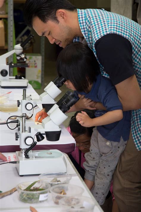 Imaging Microscope Workhsop に対する画像結果