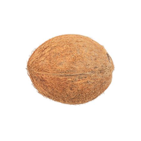 Coconut Shell に対する画像結果