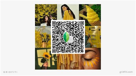 Camera Pose Snapseed QR Code に対する画像結果