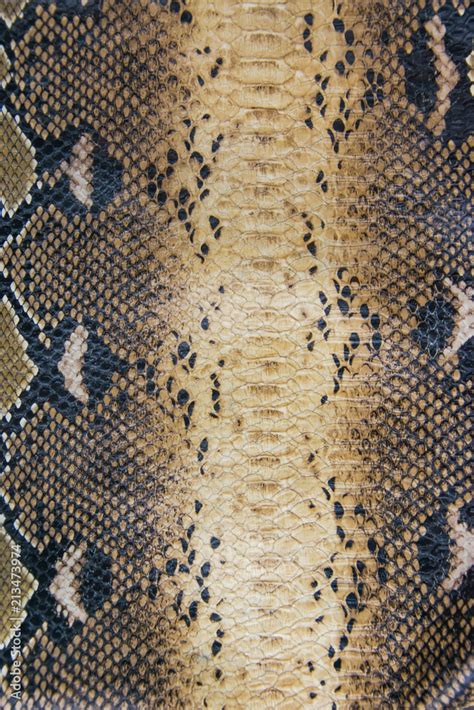 Image result for LIC Leather Python