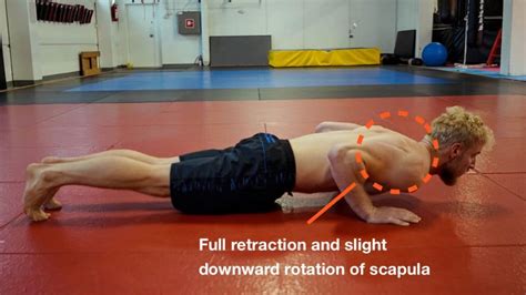Image result for Protraction Push-Up