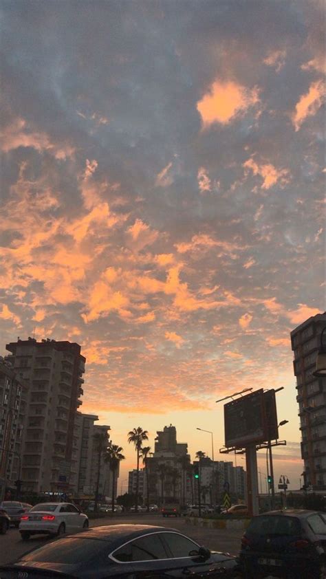 Image result for Aesthetic Pic