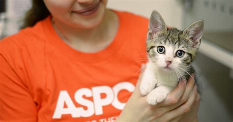 Image result for ASPCA.org