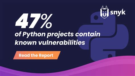 Python Vulnerabilities に対する画像結果