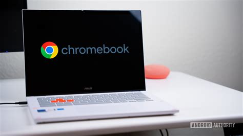Toradh íomhá ar Developer Mode Chromebook Screen