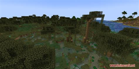 Minecraft Swamp Modded కోసం చిత్ర ఫలితం