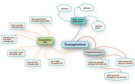 Afbeeldingsresultaten voor Life Process Concept Map Class 10