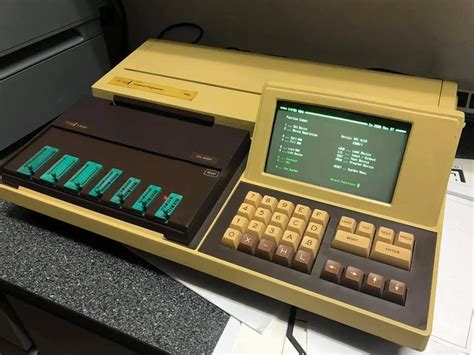 Image result for Stag Programmers