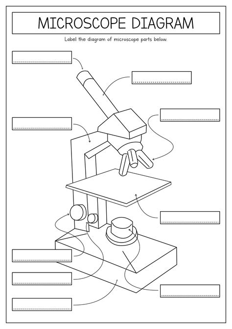 Afbeeldingsresultaten voor Microscope Exam Activity