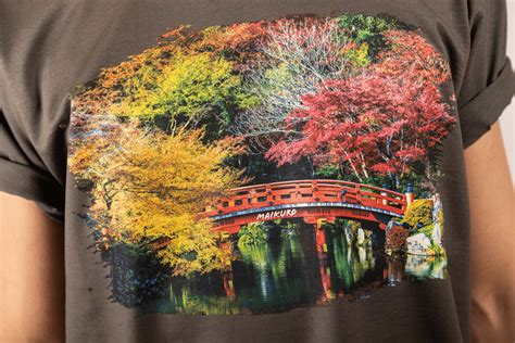 Toradh íomhá ar Arduino Maikuro