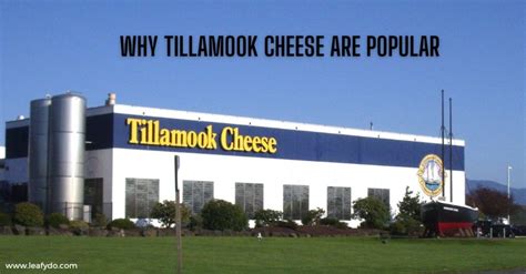 Image result for Tillamook Cheese Co Graph and Chart