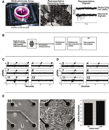 Electrode Array Device に対する画像結果