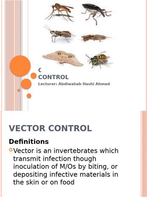 Vector Control Methods に対する画像結果