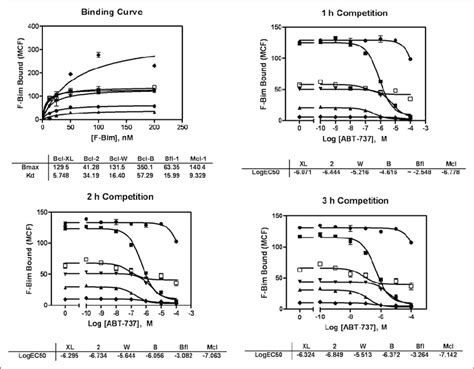 Binding Curve に対する画像結果
