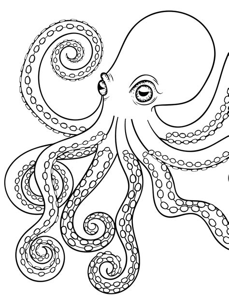 Image result for Octopus Colouring In