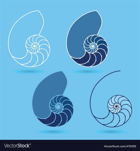 Image result for Nautilus Shell Matrix Multiplication by Vector