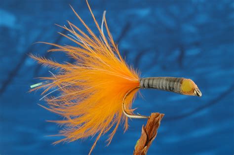 Image result for Orange Colored Fly Line