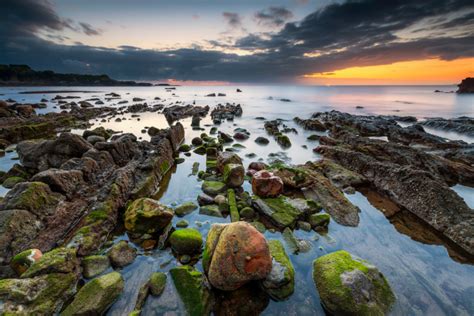 Image result for Long Short-Term Memory Model