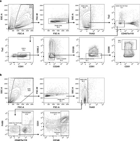 Image result for Contour Plot Flow Cytometry
