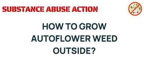 Afbeeldingsresultaten voor Autoflower Weed